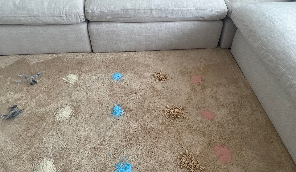 Piles of faux fur, rice, kitty litter, Cheerios and sand are spread out on a plush carpet for testing. 
