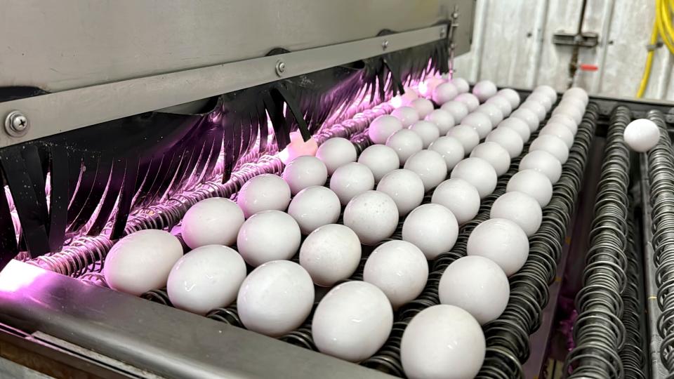 white shiny eggs on a machine coming out of a pink glowing chamber