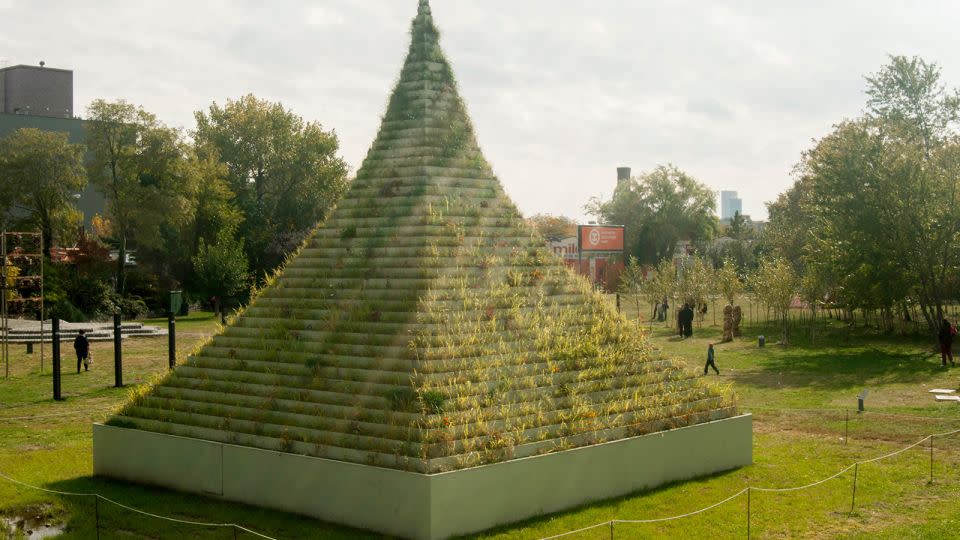 "The Living Pyramid," from 2015, utilized one of Denes' favored symbols — the pyramid — and had a community aspect as well, as visitors were able to take plants home at the end of the exhibition. - Courtesy Agnes Denes/Leslie Tonkonow Artworks + Projects