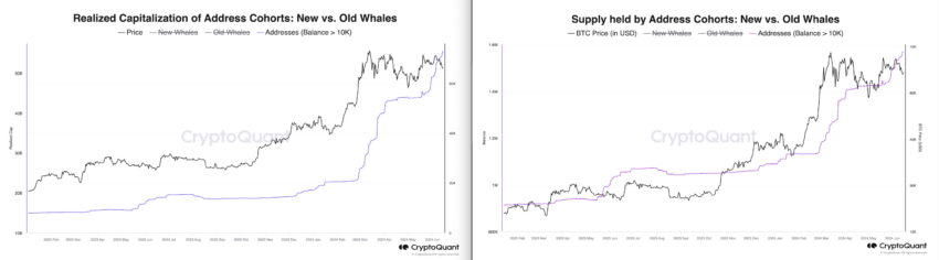 Addresses (Balance +10K) Supply & Realized Cap. Source: CryptoQuant