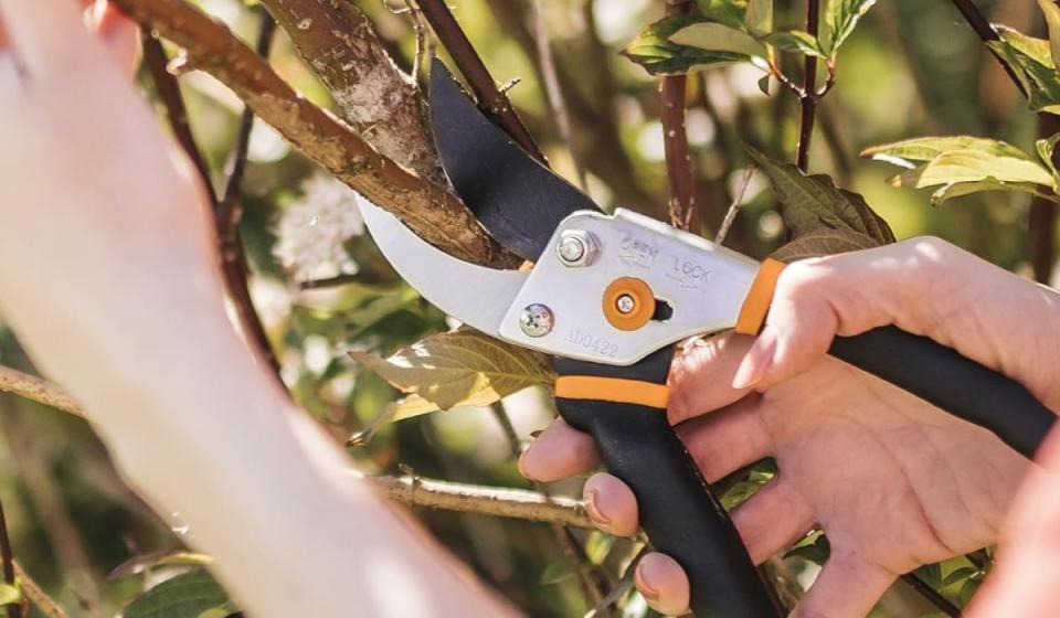 Fiskars pruning shears 