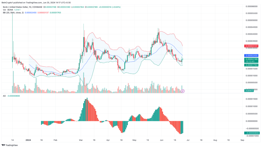 BONK volatility and momentum