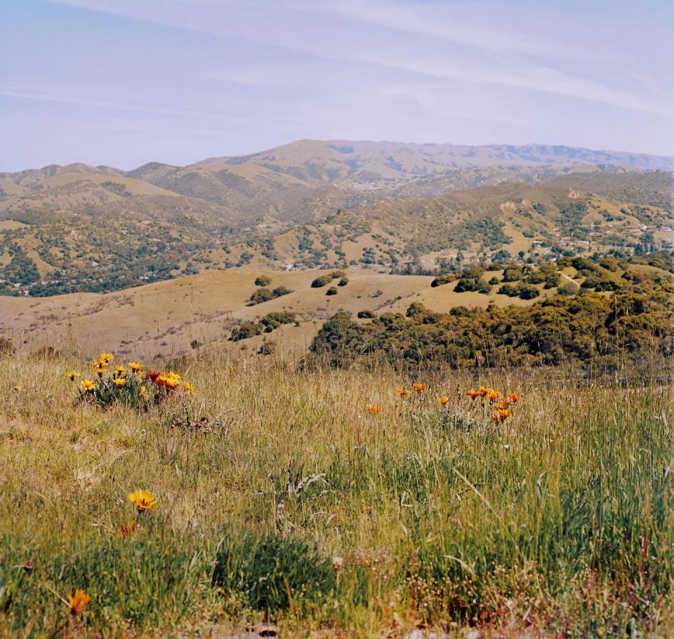 a grassy area with hills in the background