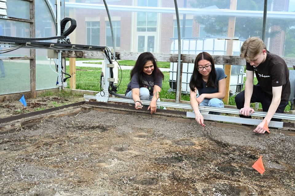 Dr. Madhumi Mitra, professor of biology and environmental science, works with UMES summer interns to get a robotic agriculture project underway.