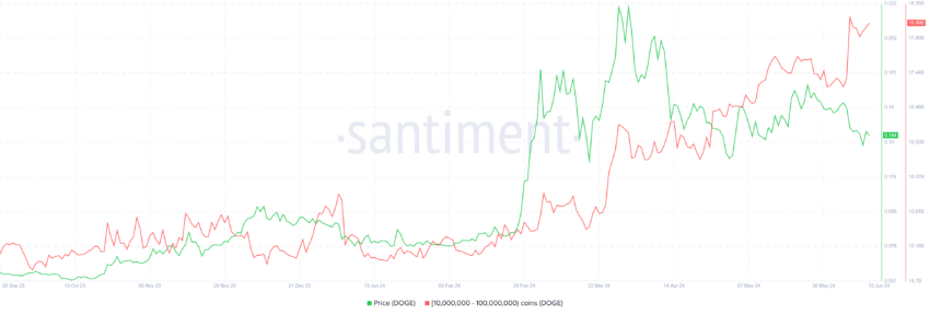 Dogecoin Whale Holdings. 