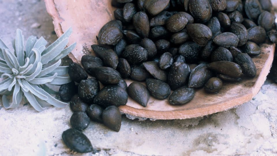 The authors of a new study dated almonds found aboard the Kyrenia ship to find a new estimated range of years for when the ancient vessel's last voyage took place. - Kyrenia Ship Excavation