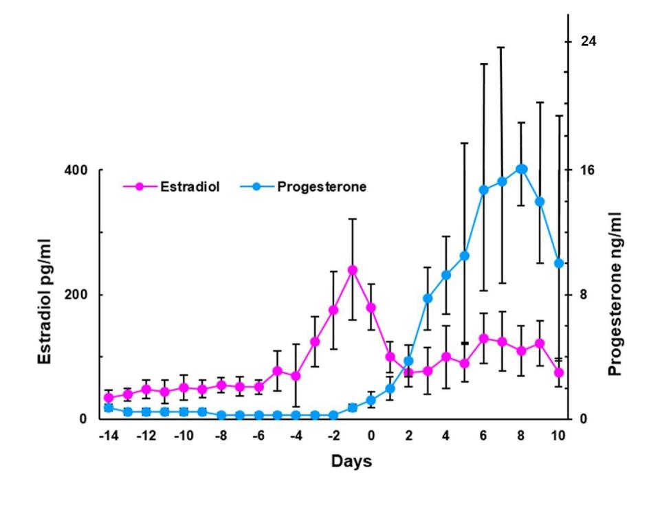 Line graph plotting rising estrogen levels peaking at day one of the menstrual cycle before decreasing, and progestorone levels peaking at day eight before dereasing