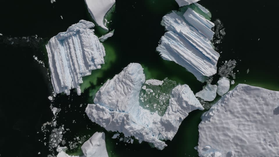 Icebergs in Antarctica on February 8, 2024. A slew of research has looked at the vulnerability of this vast continent to the impacts of the climate crisis. - Sebnem Coskun/Anadolu/Getty Images