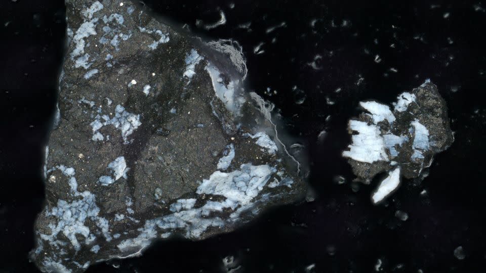 A microscope image shows a dark particle from Bennu, about a millimeter long, with a crust of bright phosphate. - Lauretta & Connolly et al. (2024)/Meteoritics & Planetary Science