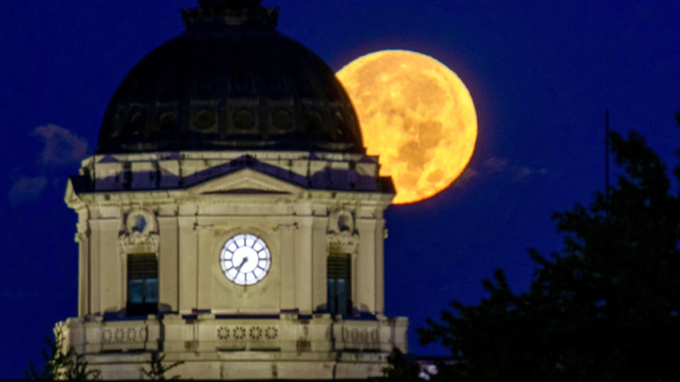 the full moon rises behind a domed building with a clock on its face. the silouhette of the top of  a tree sits in the bottom right corner.