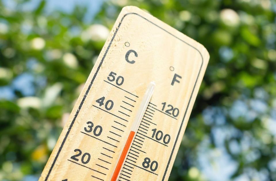 A heat wave is expected to take hold of the region starting today, Tuesday, June 18.