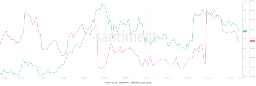 Ethereum Whale Holding. 