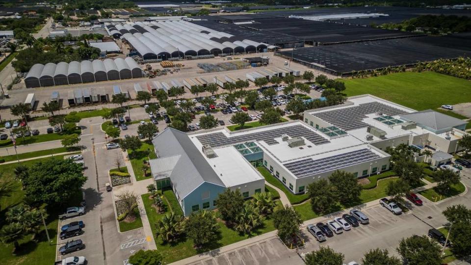 View of the the Costa Farms headquarters and the production plant including green houses in Homestead, on Friday, June 28, 2024.