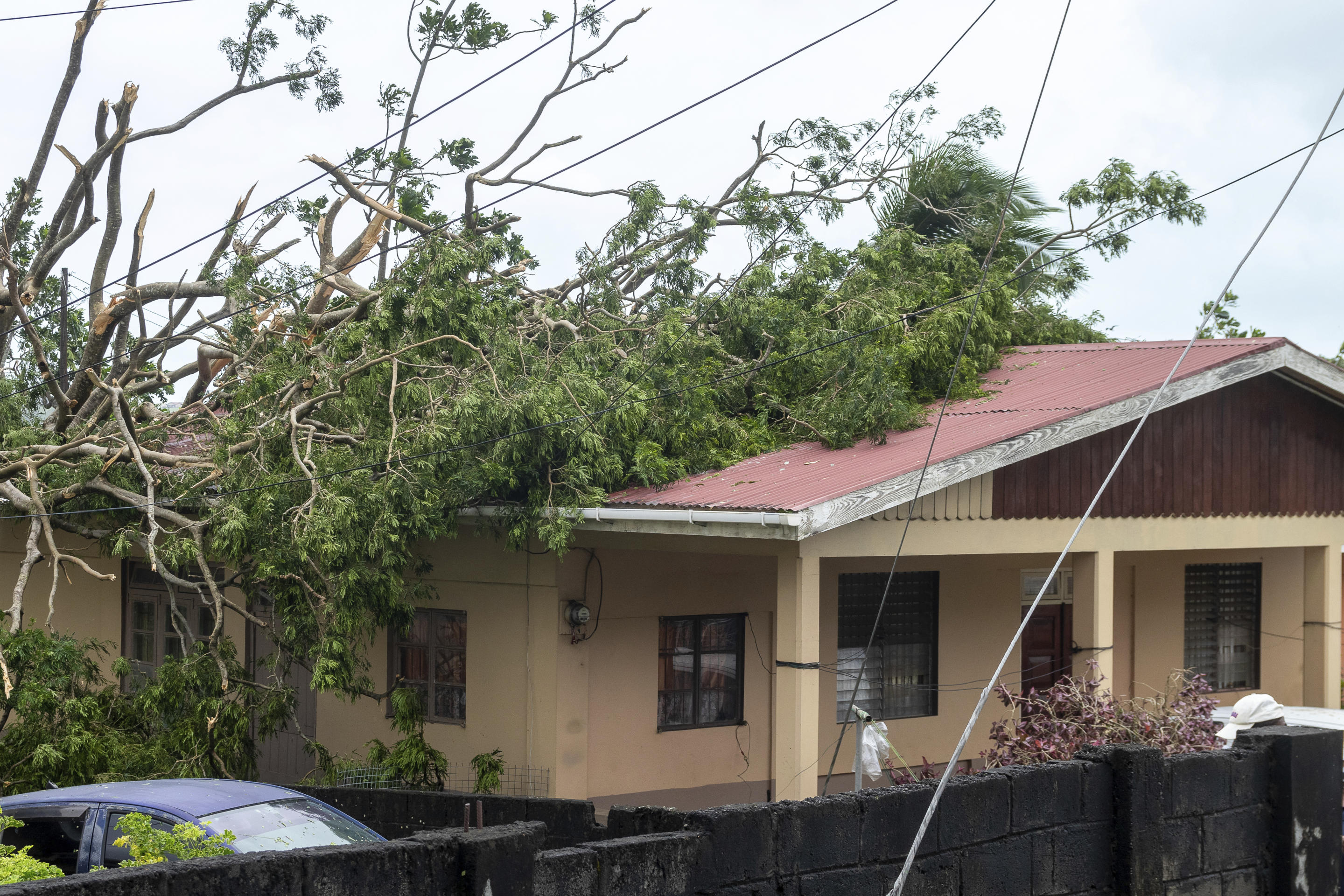 A toppled tree lies on the roof of a house in Kingstown, the capital of St. Vincent and the Grenadines.