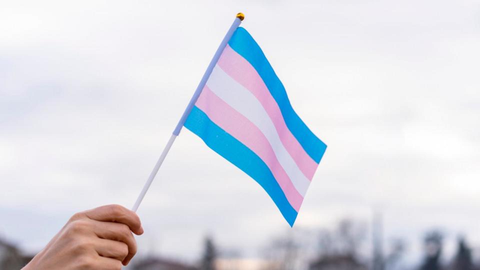 PHOTO: In this undated stock photo, someone holds a transgender flag in the air.  (STOCK PHOTO/Getty Images)