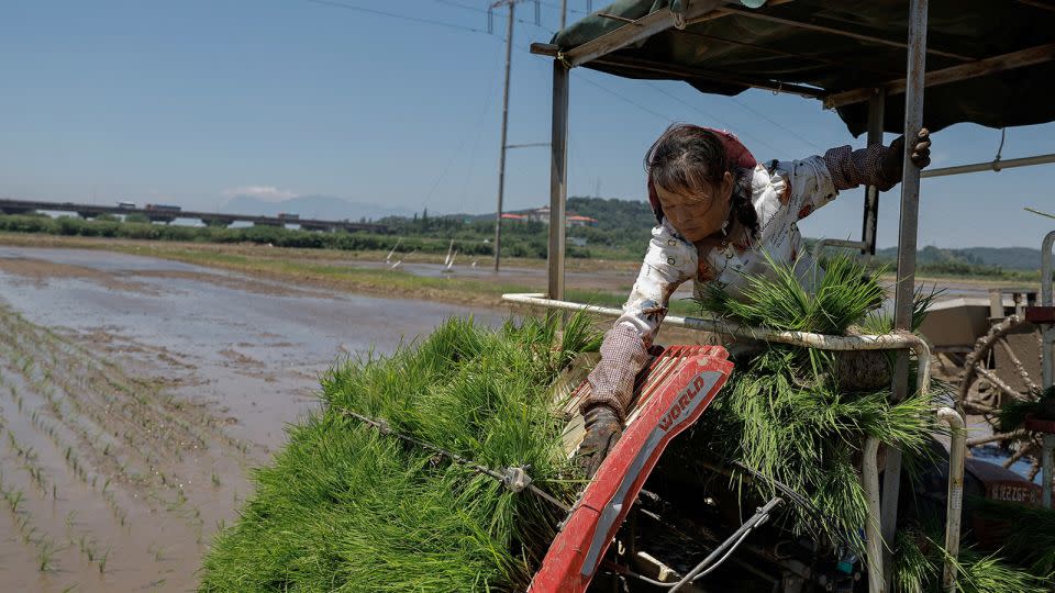 A farmer's planting is delayed by heavy rainfall in Jiangxi province on July 5. - Tingshu Wang/Reuters