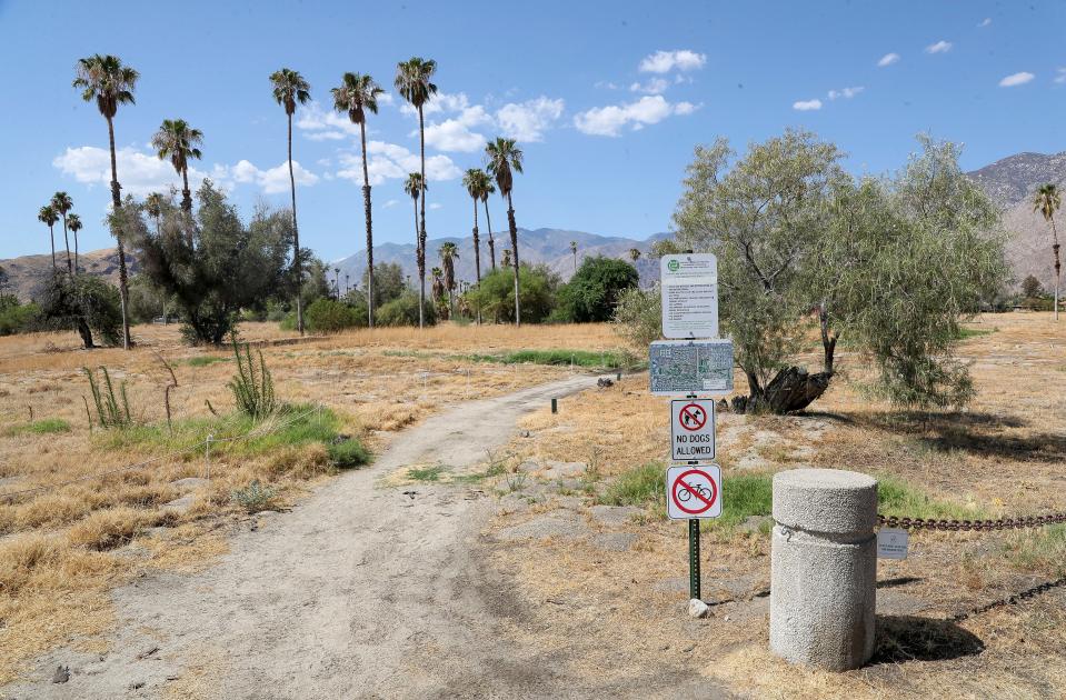 A trail in what was formerly the Mesquite Golf and Country Club runs through the Prescott Preserve in Palm Springs, Calif., July 19, 2024.