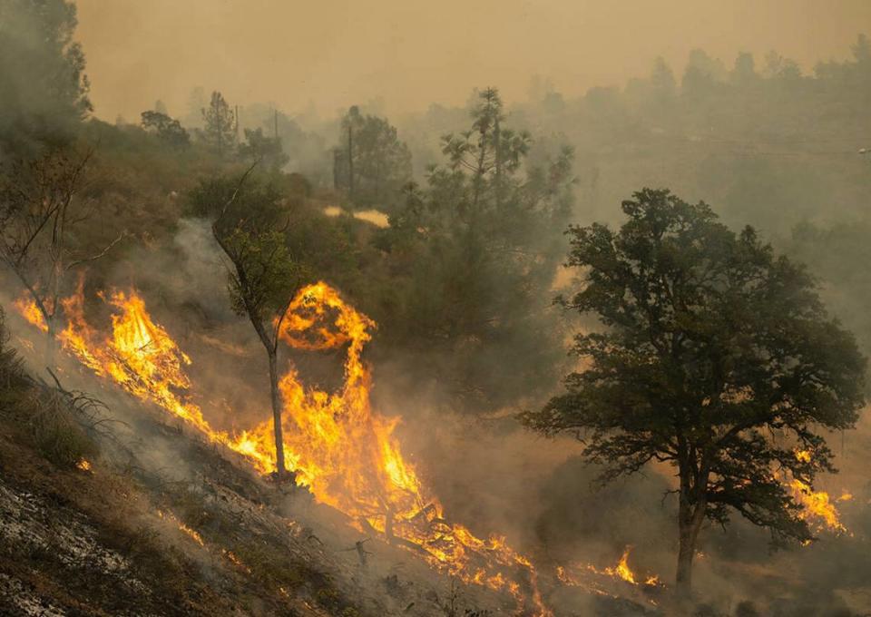 Flames from the Park Fire climb an embankment northeast of Red Bluff in Tehama County, Calif., on Saturday. The 357,341-acre blaze was 12% contained Sunday owing largely to a brief break in hot, dry weather conditions, according to the California Department of Forestry and Fire Protection.