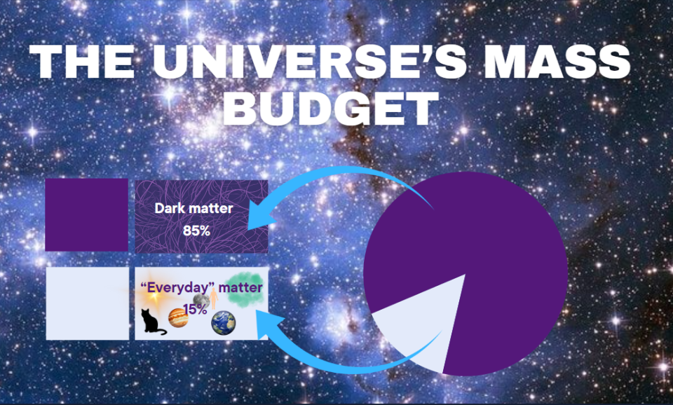 A pie chart showing the dark matter budget.