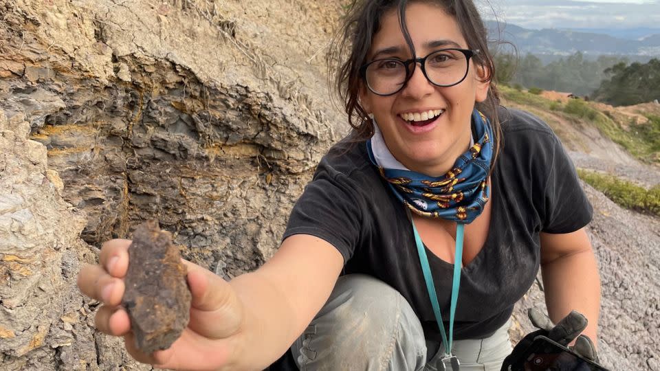 Mónica Carvalho can be seen holding the newly discovered earliest grape from the Western Hemisphere at the dig site in Colombia. - Fabiany Herrera