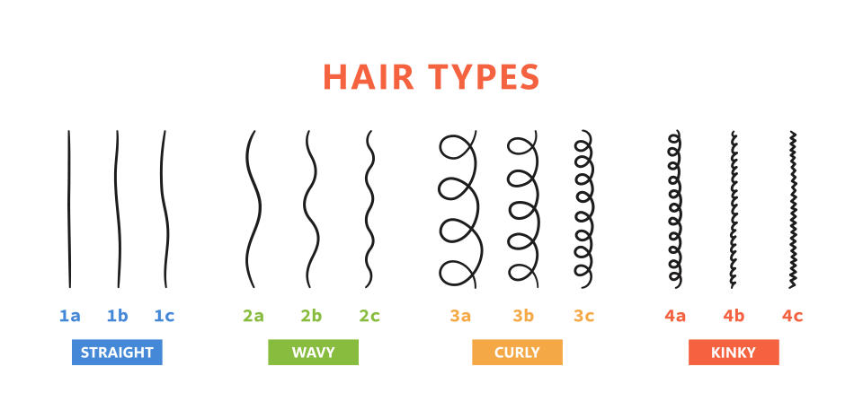 A graphic shows the classification of hair types — straight, wavy, curly, kinky. 