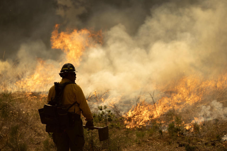 Firefighters set a backfire on the eastern front of the Park Fire (David McNew / Getty Images)