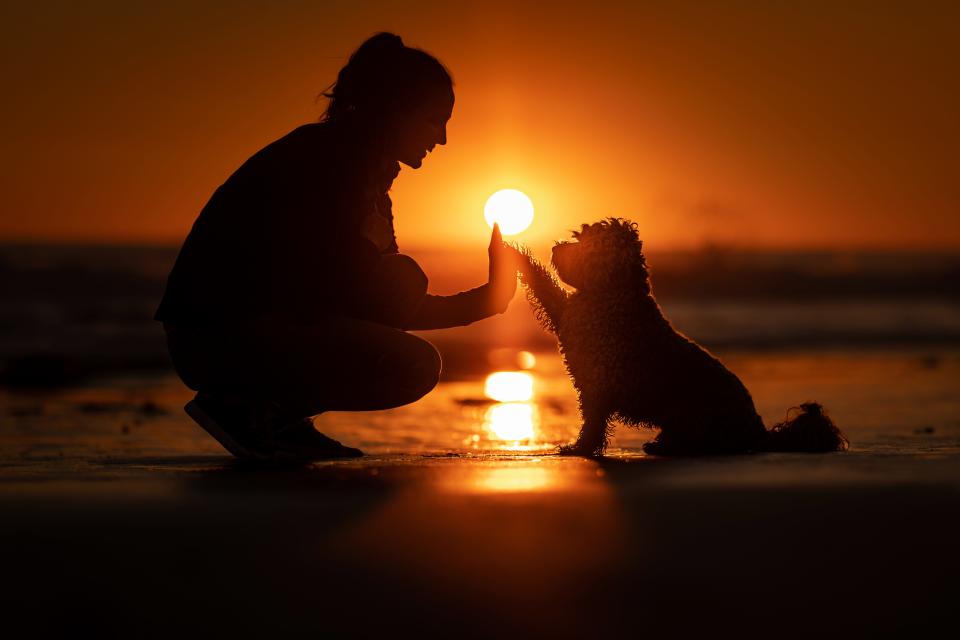 Nicole Ellis high-fives a dog at sunset on a beach.