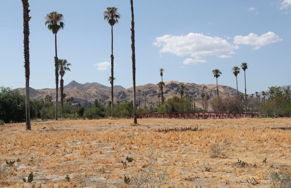 Formerly the Mesquite Golf and Country Club the land in the Prescott Preserve will stay largely undeveloped in Palm Springs, Calif., July 19, 2024.