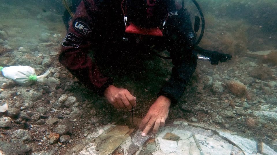 A diver works on the submerged mosaic floor. - Parco Archeologico Campi Flegrei