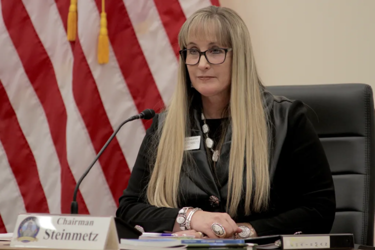 Sen. Cheri Steinmetz (R-Lingle) chairs an official Senate Agriculture, State and Public Lands and Water Resources Committee hearing at the Wyoming Capitol in February 2024. (Mike Koshmrl/WyoFile)