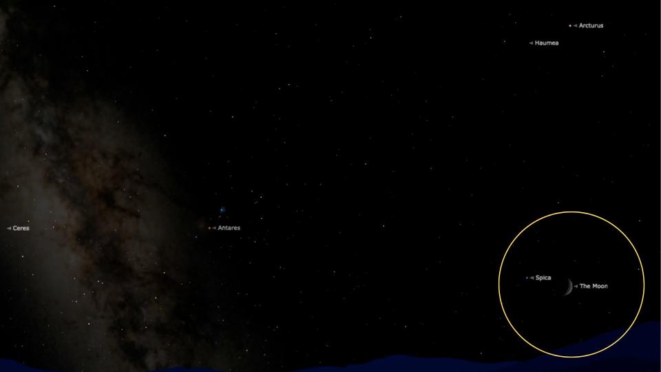 graphic showing the moon shining close to Spica, the pair are surrounded by a yellow circle.