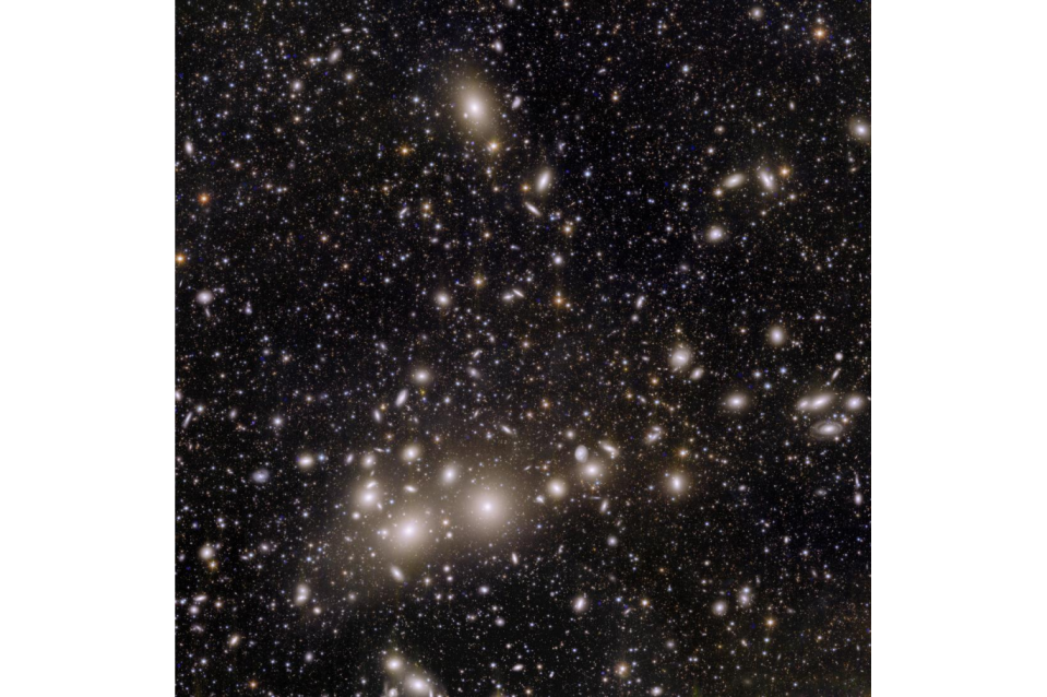 A Euclid image showing 1000 galaxies belonging to the Perseus Cluster, and more than 100 000 additional galaxies further away in the background, each containing up to hundreds of billions of stars.