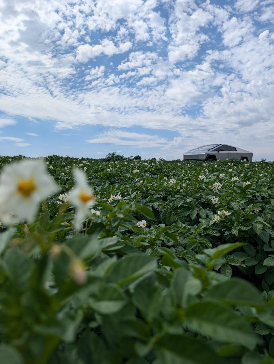 Braden Smith's Tesla Cybertruck out in his potato field in Rexburg, Idaho.