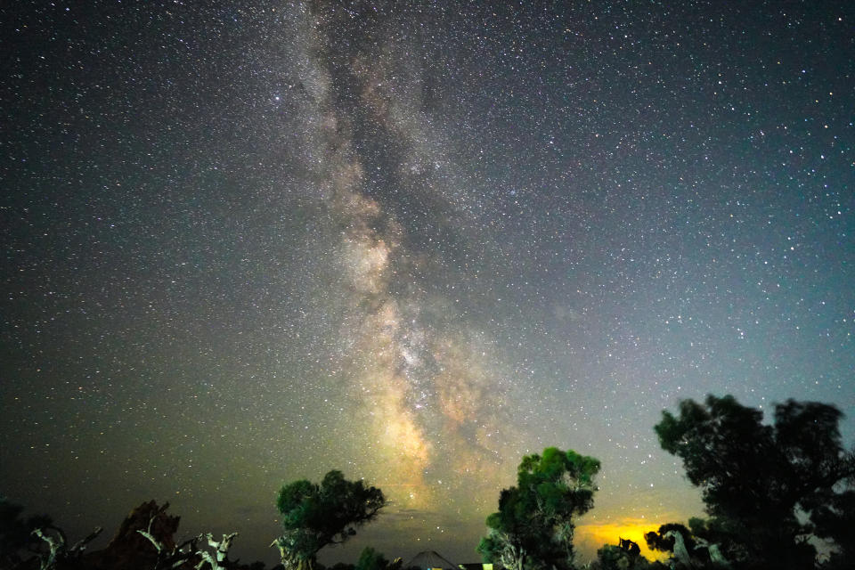 Perseid meteor shower is observed above Euphrates poplar trees in Yiwu County, Hami City, Xinjiang Uygur, China.