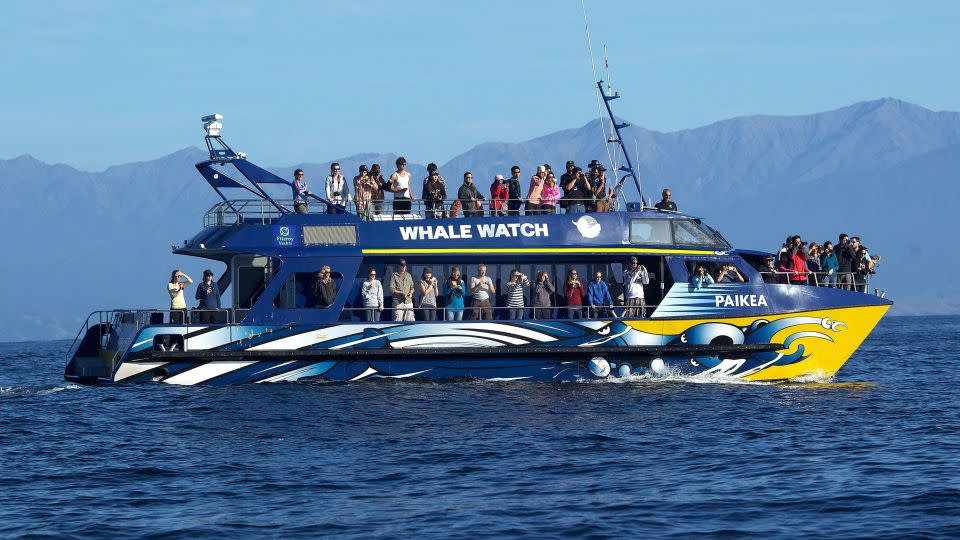 A Whale Watch Kaikōura boat full of tourists viewing sperm whales off the coast of South Island, New Zealand. - Tim Clayton/Corbis/Getty Images