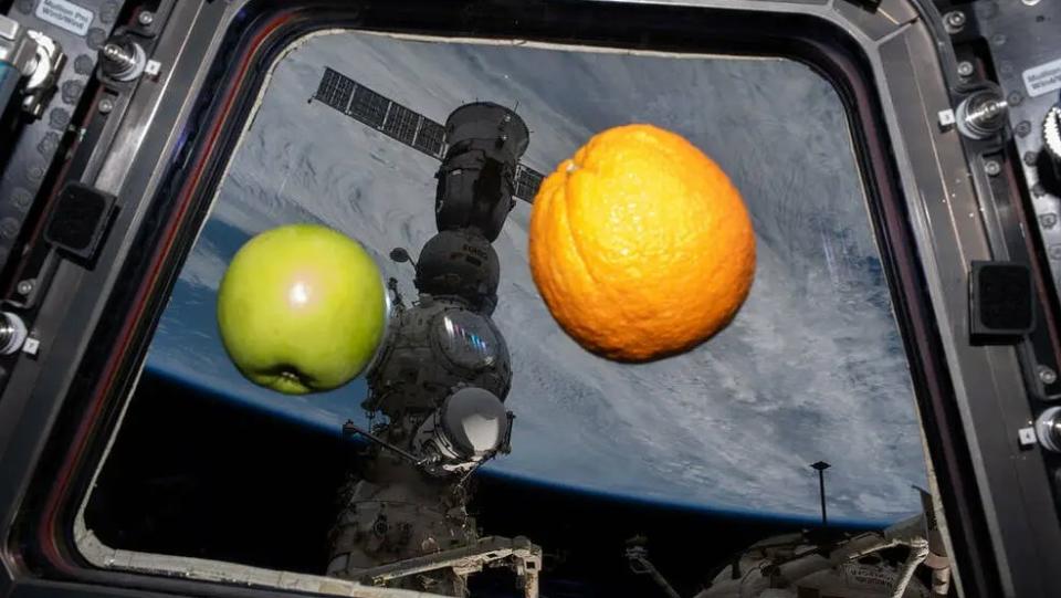 an apple and an orange floating in front of a window in space. visible in behind are a docked spacecraft and the earth