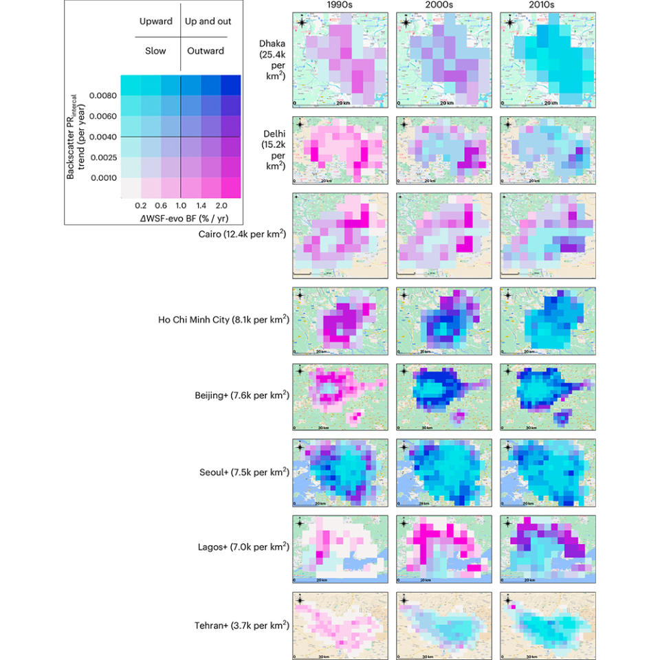 Three columns of eight rows of squares each show pixelated blobs of various mixtures of blue and pink. A color key is in a box on the top left.