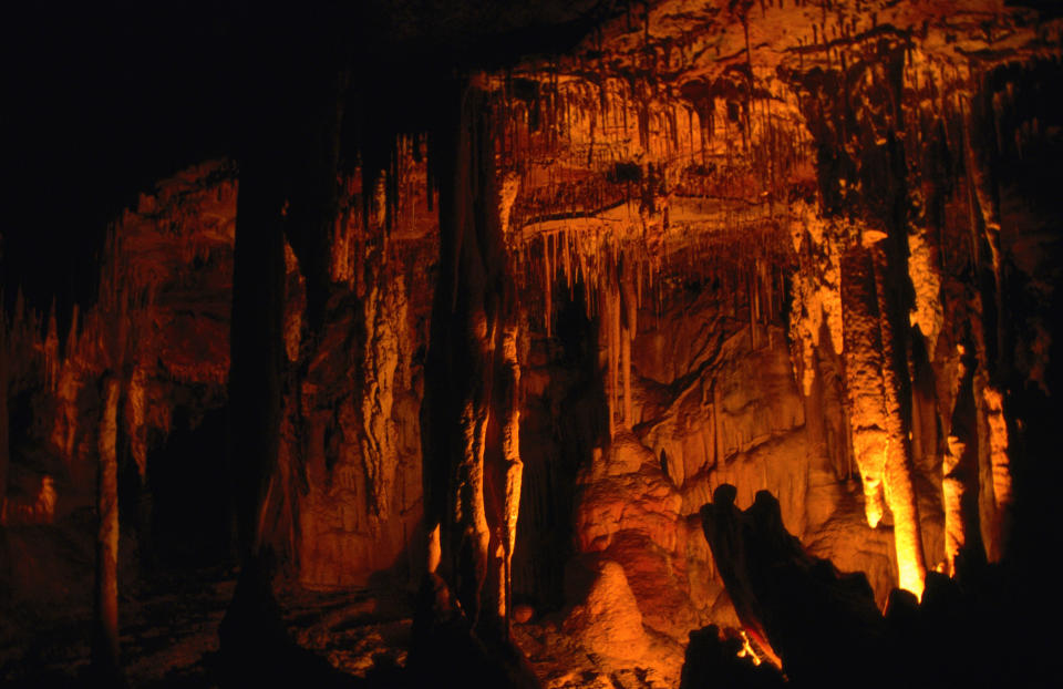 Great Basin National Park, Nevada, United States, North America