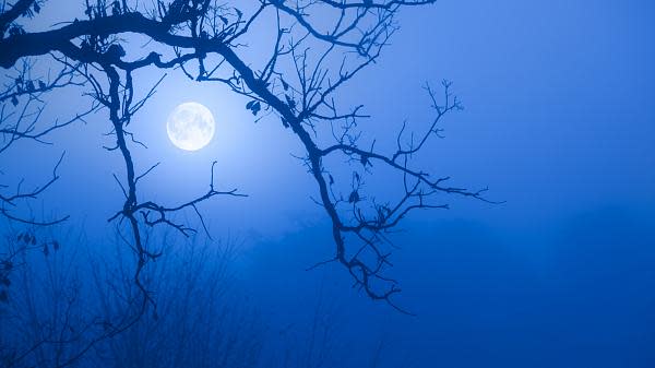 The seasonal Blue Moon will occur Aug. 19.