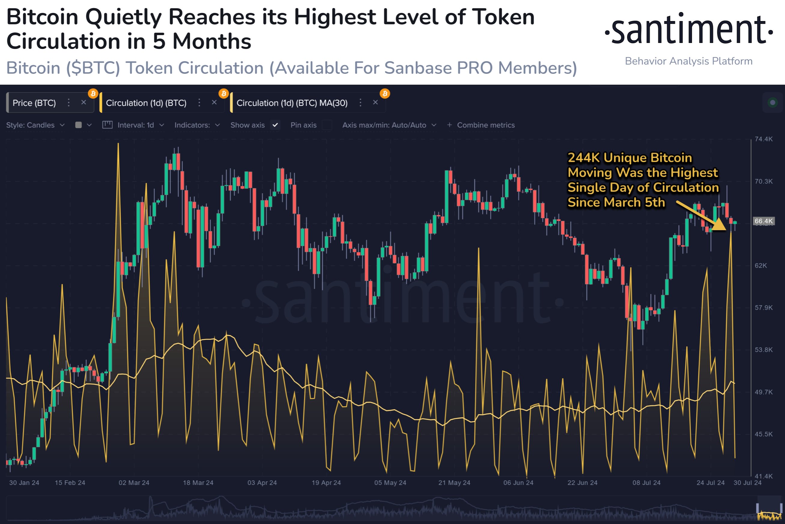 Bitcoin Circulation