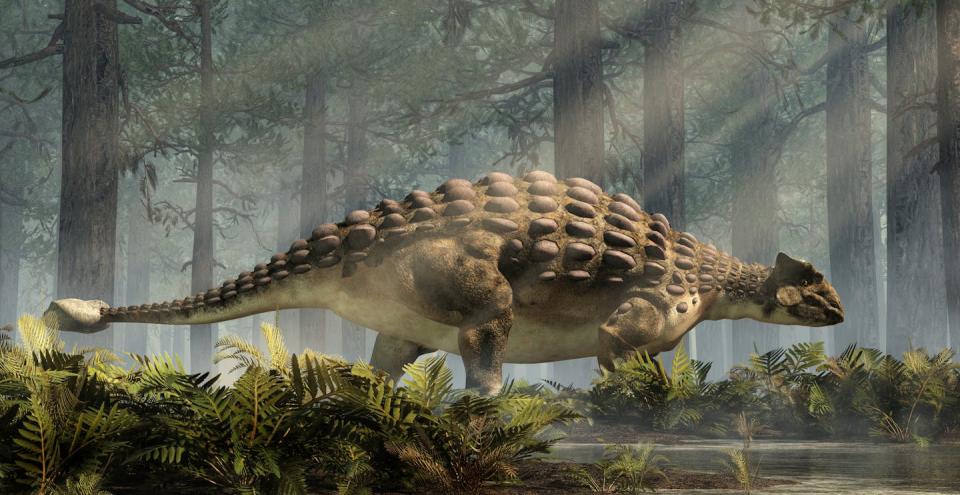 An armored dinosaur with body spikes trudges through a primeval forest.