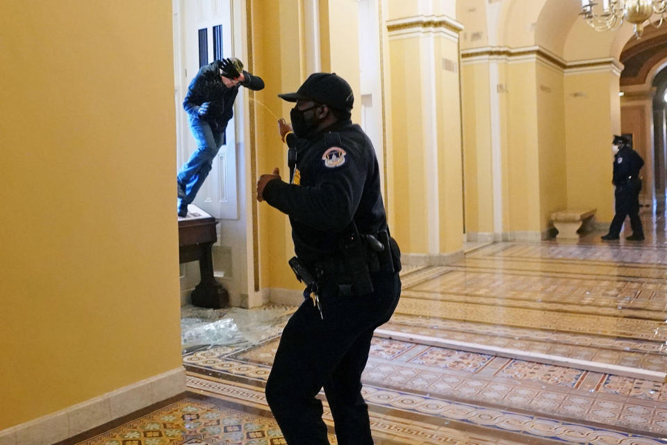 A Capitol police officer shoots pepper spray at Michael Sparks as he enters the Capitol (Kevin Dietsch / UPI / Bloomberg via Getty Images file)