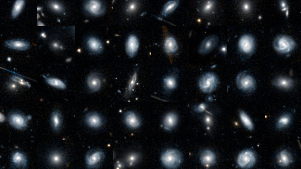  Orty galaxies are shown against a black background. The galaxies are all different in shape, some look like spirals, some look barred, or smooth. 