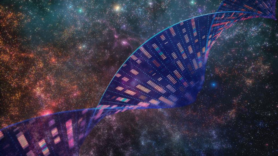  A twisted ladder of dna against a backdrop of space. 