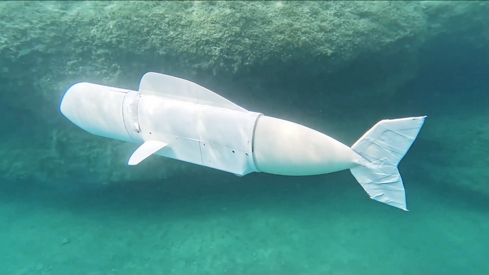 A robot fish designed and developed by students at ETH Zurich - SURF eDNA