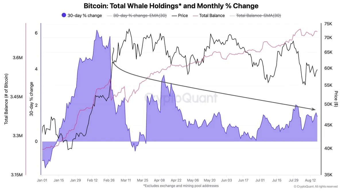 Bitcoin Whales' Holdings. 