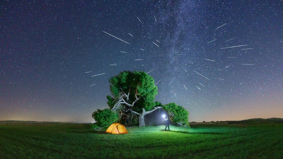  A man with a lantern next to his camping tent is watching the Perseids meteor shower under a great century-old pine tree. Starry sky panorama with The Perseid meteor shower in a agricultural field. Milky Way on the background. 