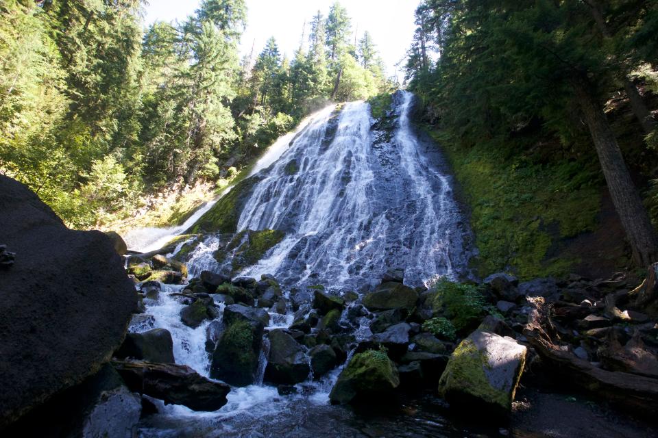 View of Diamond Creek Falls in Willamette National Forest that can be reached by crossing a new bridge.