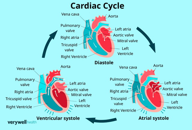 <p>Illustration by Zoe Hansen for Verywell Health</p>