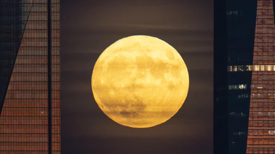  Two large skyscrapers on either side of a large bright full moon - the supermoon blue moon. 